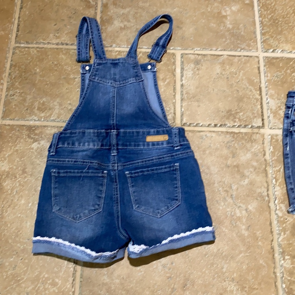 True Craft Overalls - Picture 3 of 3